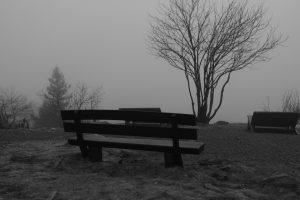A lonely bench amongst bare trees, feeling detached from life, yet a place to contemplate the vastness of life.