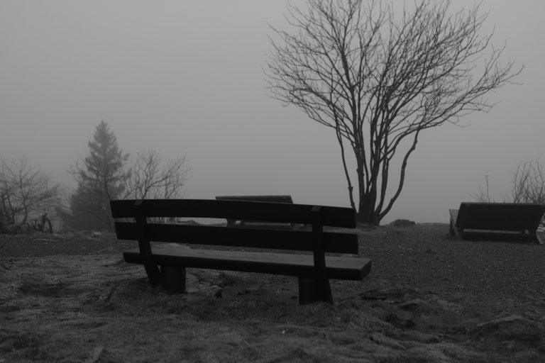 A lonely bench amongst bare trees, a place to contemplate the vastness of life