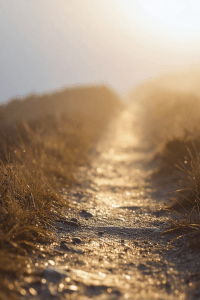 Finding connection when you feel isolated and alone