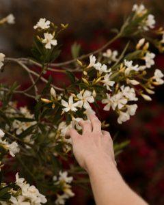 finding connection in small moments of contact