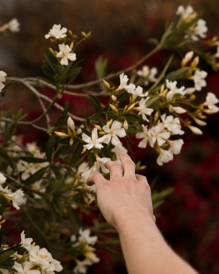 finding connection start with small moments of contact