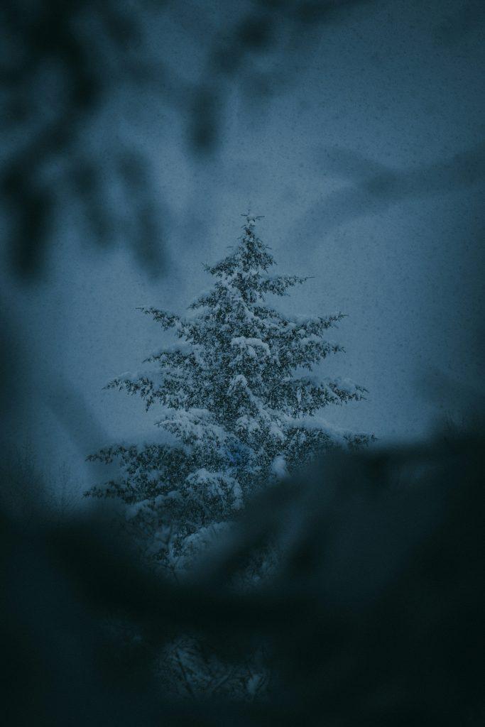 feeling different during the holidays and why it is ok.