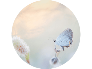 Trauma-informed psychotherapy